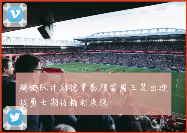 鹈鹕队计划德章泰穆雷周三复出迎战勇士期待精彩表现