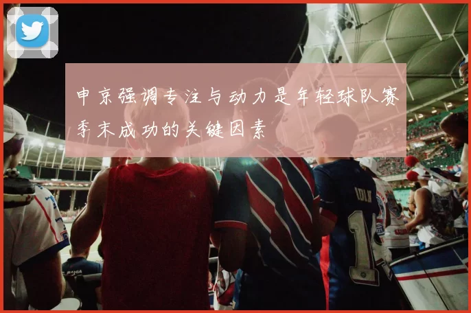 申京强调专注与动力是年轻球队赛季末成功的关键因素